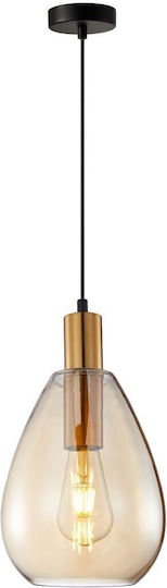 Italux Brown Ceiling Light Italux Brown Ceiling Light