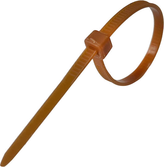 Tretytka Πλαστικά Δεματικά Καλωδίων 100mmx2.5mm σε Καφέ χρώμα (100τμχ)