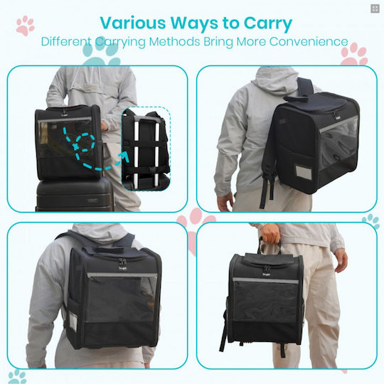 Miss Lulu Backpack for Dog Cat Carrying