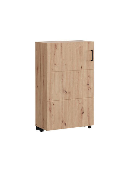 Fylliana Schuhorganisator 68x33x113cm