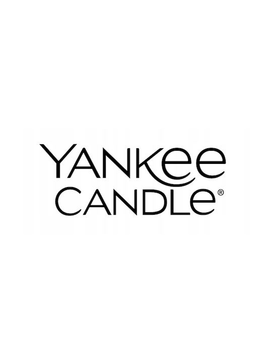 Schimmernde Blätter Yankee Candle Signature Große Aromatische Kerze Mit Zwei Dochten Neu 2025