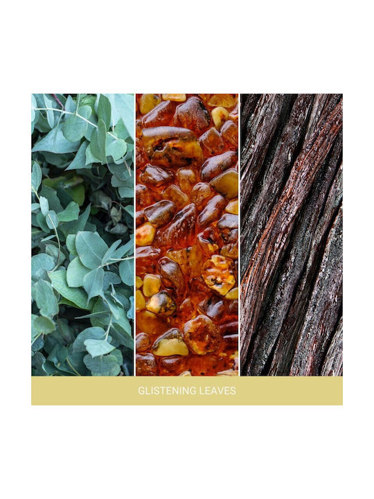 Schimmernde Blätter Yankee Candle Signature Große Aromatische Kerze Mit Zwei Dochten Neu 2025