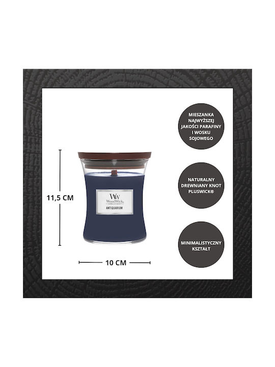 Medium Core 275g Antiquarium Scene Candle
