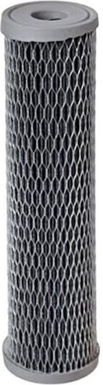 Pentair Replacement Water Filter Cartridge with Activated Carbon 10 μm