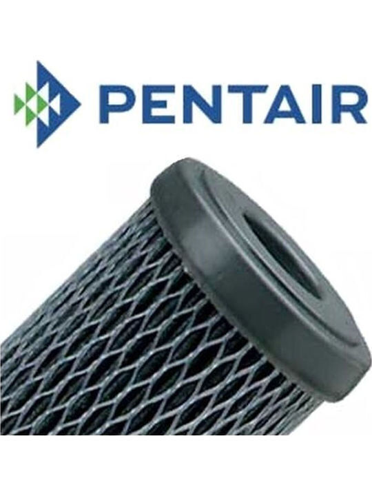 Pentair Replacement Water Filter Cartridge with Activated Carbon 10 μm
