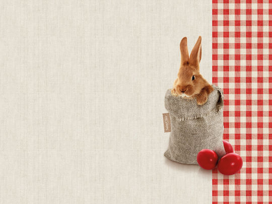 Servet Individual Easter 04 45x33