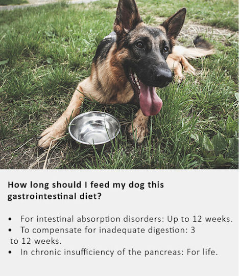 Arden Grange 12kg Trockenfutter für Erwachsene Hunde ohne Körner mit Ente