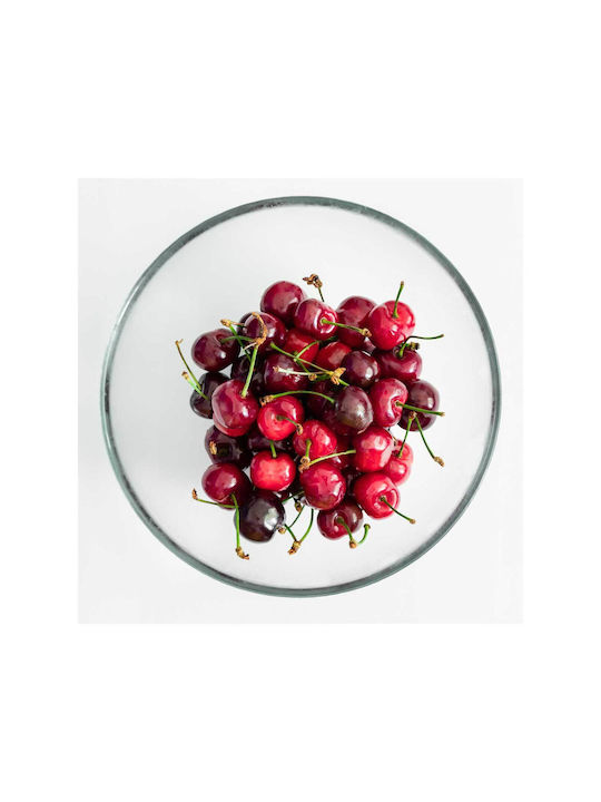 Painting Bowl Cherries Bowl Cherries 110x110