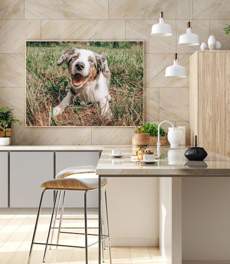 Панел Happy Dog In Grass Happy Dog In Grass 150x100