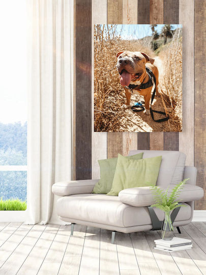 Painting Happy Dog On A Nature Trail Happy Dog On A Nature Trail 100x150