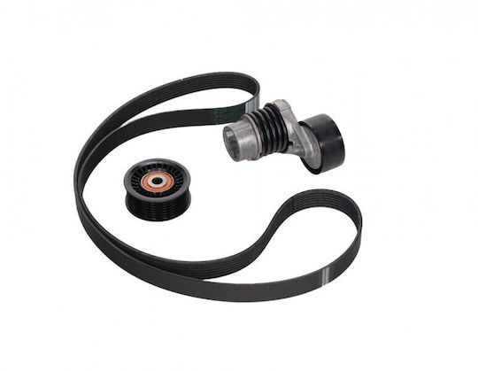 Τεντωτήρας Ιμάντα Micro-v Renault Kangoo Ii 08 117203336r