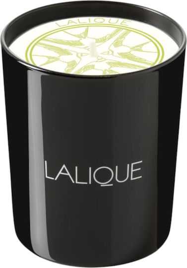 Lalique Aromatic Candle Osmanthus Himalaya Nepal in Jar with Osmanthus Perfume 190g