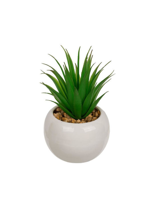 Artificial Plant in Small Pot Succulent Plant Blue 16cm 2pcs Next
