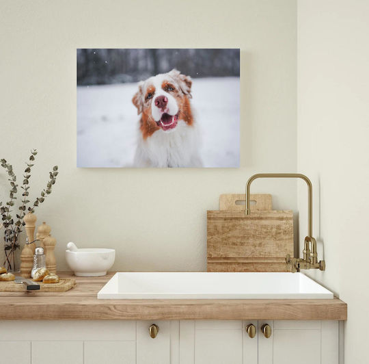 Painting Happy Dog In Snow Happy Dog In Snow 150x100