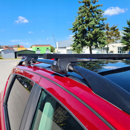 Roof Rack Citroen Nemo 4/5d Year 2008-2017