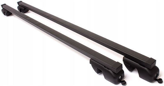 Roof Rack Ford Transit Transit 120 130 160 190 Courier; Van 2014