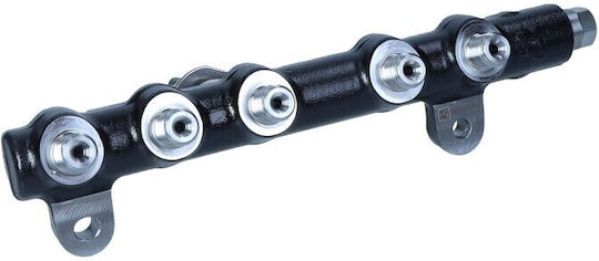 Σιδηροτροχιά Ψεκασμού Citroen C4 2,0 13 9674300080