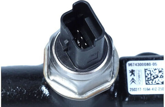 Σιδηροτροχιά Ψεκασμού Citroen C4 2,0 13 9674300080