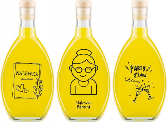 10x Μπουκάλι Elipsa 500ml