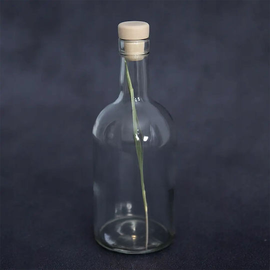 Bison Grass Żubrówka 12 Stück 4 Liter Abfüllprodukte
