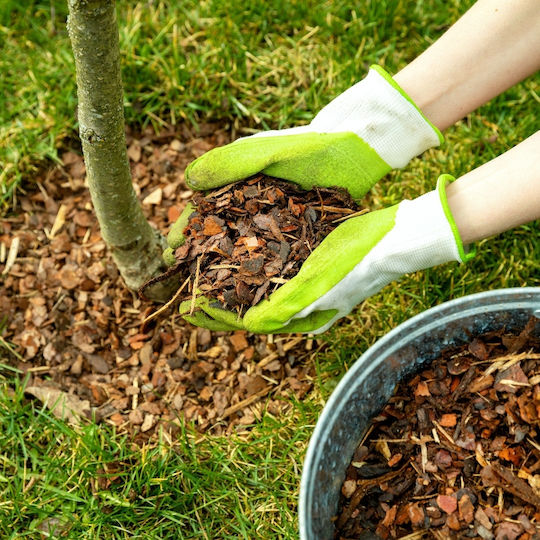 Bimberek Mittlere Kiefer Rinde 80l Glanz Rinde Garten