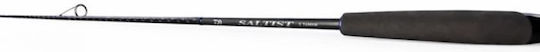 Daiwa 26 Saltist X Καλάμι Ψαρέματος για Spinning 3.05m 10-40gr