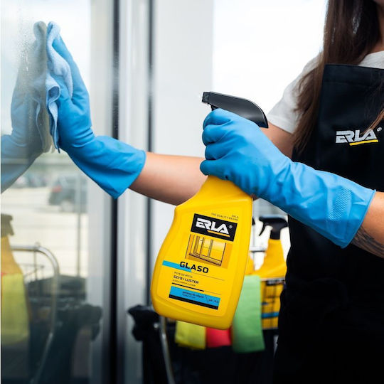 Erla Professional Liquid Glass Cleaner 5lt