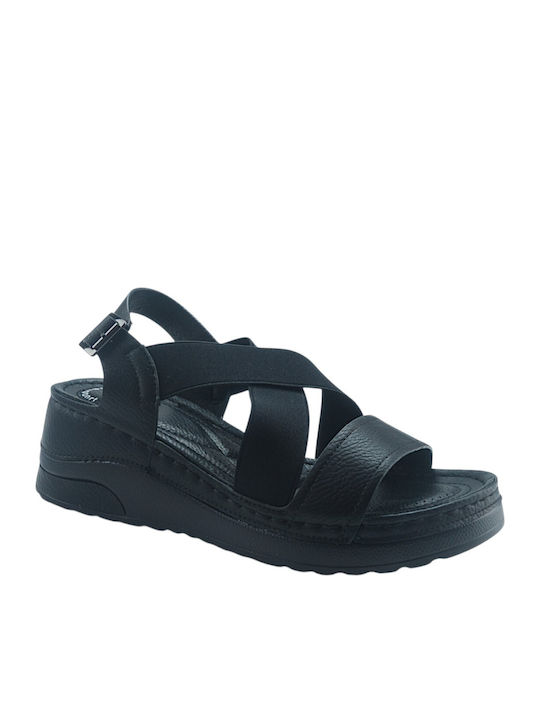 Plato Plato