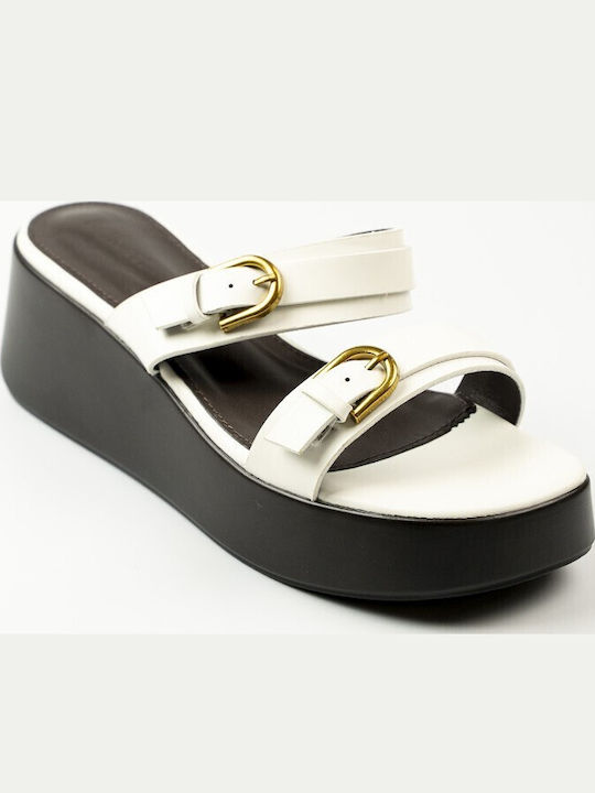 Fshoes