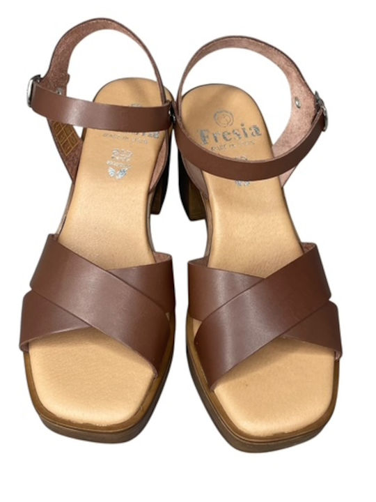 Leather Anatomic Brown Sandals