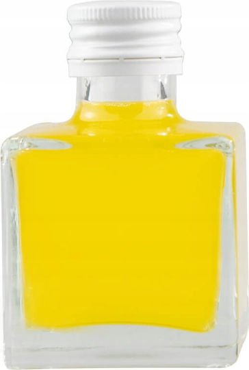 50x Anna Flasche 100ml Tinktur Wein Likör