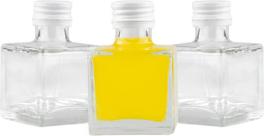 50x Anna Flasche 100ml Tinktur Wein Likör