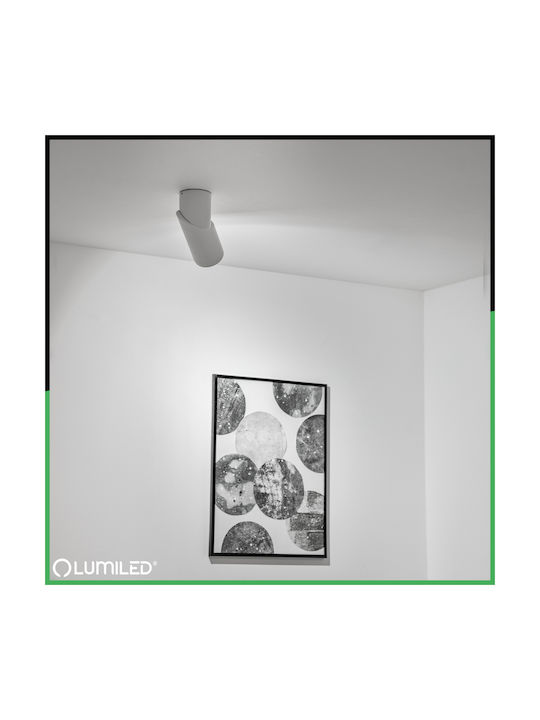 Таванно Осветително Тяло Spot Tuba Рефлекторно Халогенно 1x Gu10 Tabula Lumiled
