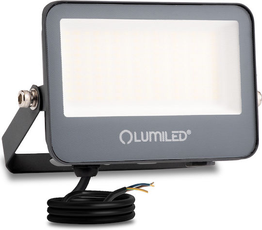 Proiector LED Trinox 30W 3300lm CCT IP66 Gri Lumiled
