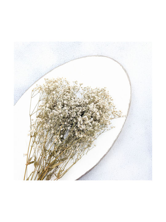 Stabilized Baby's Breath Gypsophila Royal Bouquet Natural