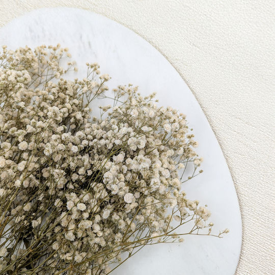Stabilisiertes Baby's Breath Gypsophila Royal Blumenstrauß Natürliche