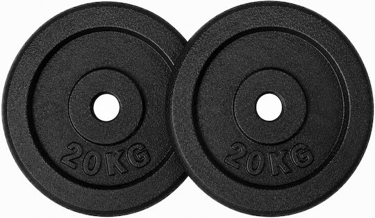 Profit Set of Plates Metal 1 x 20kg Ø28mm
