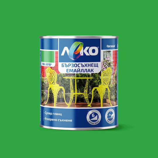 Quick-drying Enamel Paint Leko Metal Alkyd Base Gloss 0.65l Green