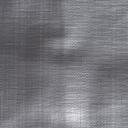 Professional Multifunctional Tarp 260 G/m² 2x7 M High Durability