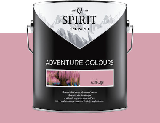 Комплект За Декоративно Боядисване До 45 М² Spirit Adventure Цветове 45 Цвята Ashikaga Грунд Аксесоари
