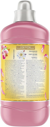 Coccolino Creations Μαλακτικό Honeysuckle & Sandalwood Συμπυκνωμένο 58 Μεζούρες