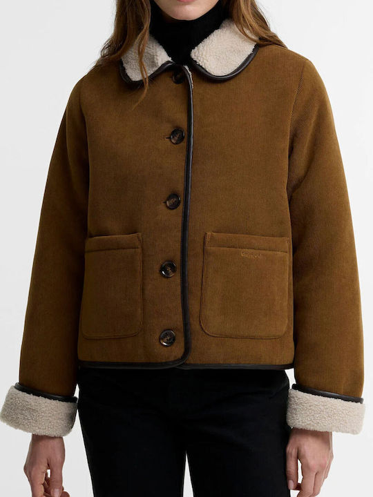 Barbour Barbour