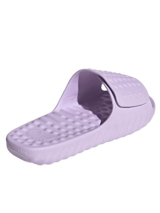 Adissage Ανδρικά Slides Μωβ