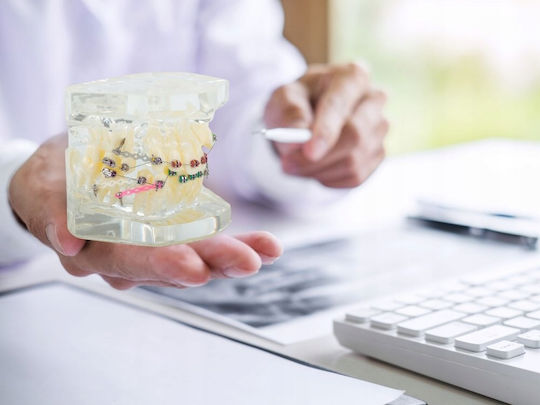 Dental Model Device 100 60