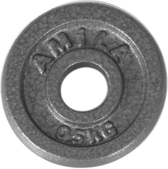 AMILA Δίσκος Μεταλλικός 1 x 2.5kg Φ28mm