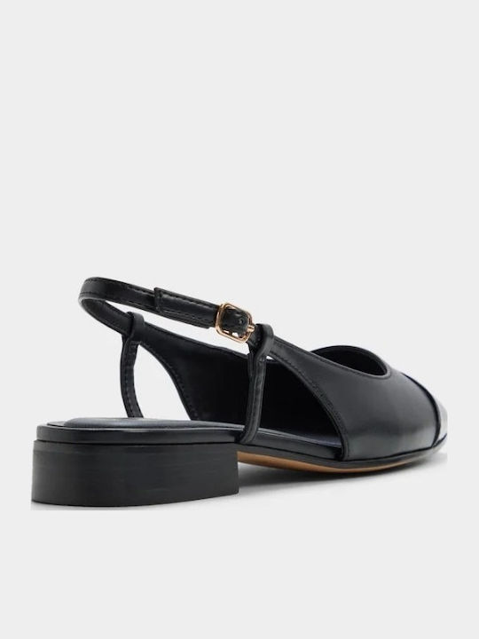 Aldo Aldo
