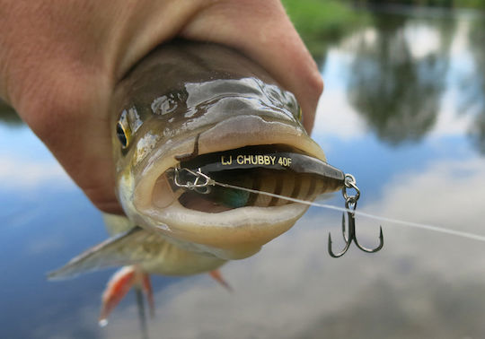 Lucky John Artificial Bait 50cm/3.5gr 013