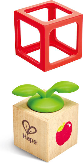 Hape Αισθητηριακά Toy από Ξύλο για 12+ Μηνών