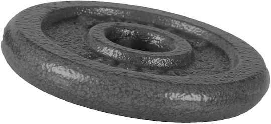 AMILA Δίσκος Μεταλλικός 1 x 1.25kg Φ28mm