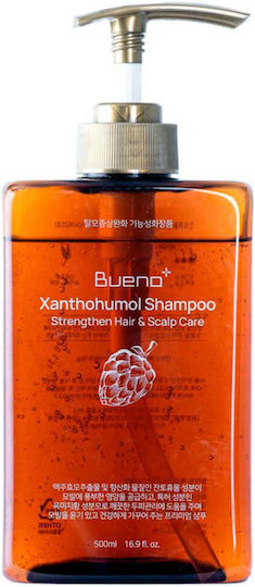 Balancing Shampoo Haarwachstum Stärkung Xanthohumol 500ml